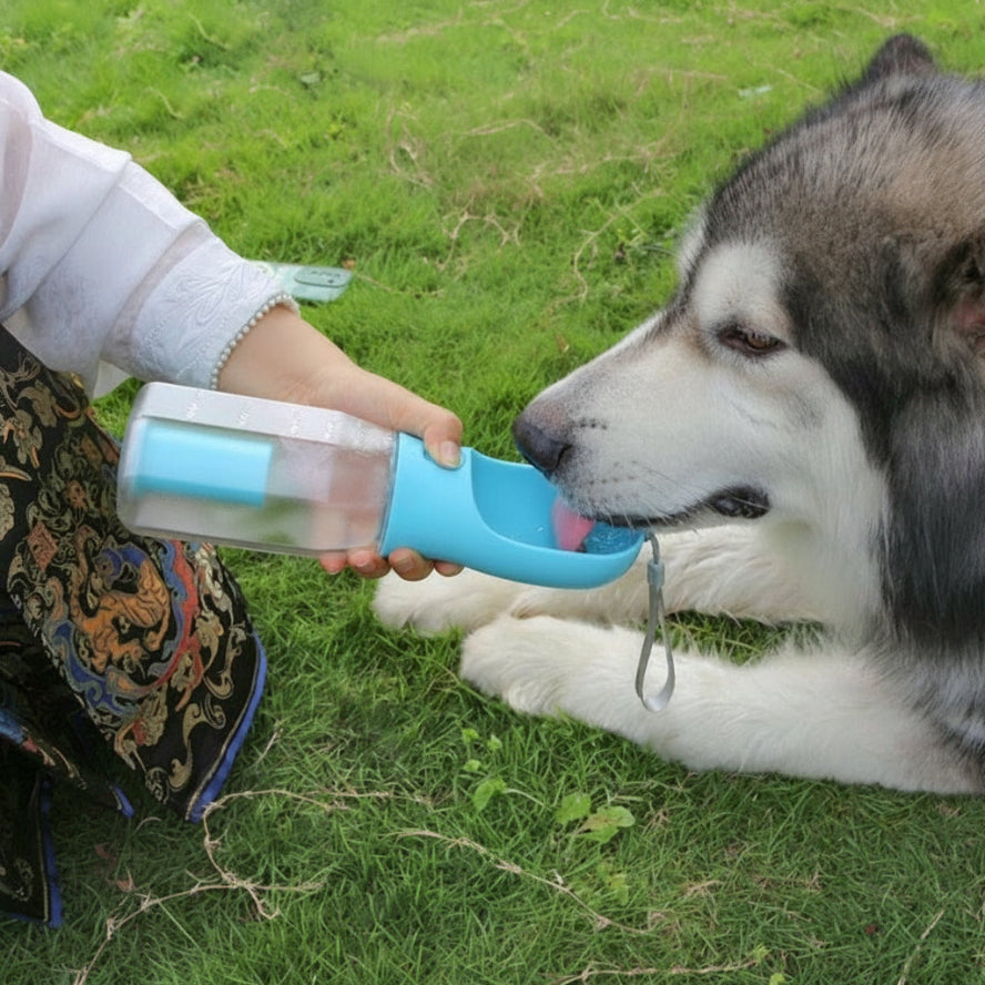 Person holding a blue and clear dog water bottle for a lying dog on grass